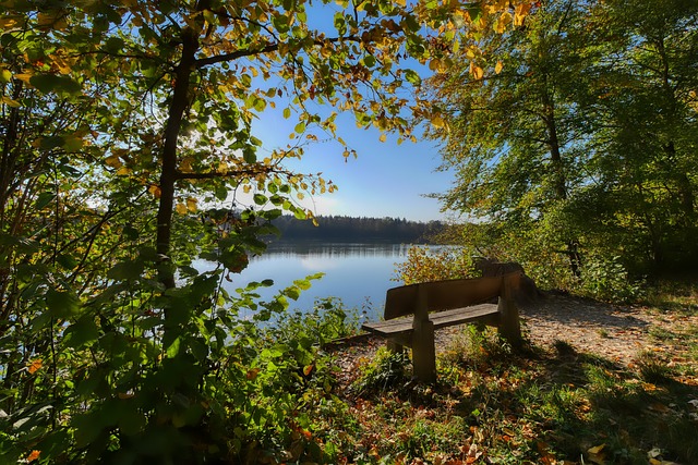 甚至被誉为 甚至被誉为