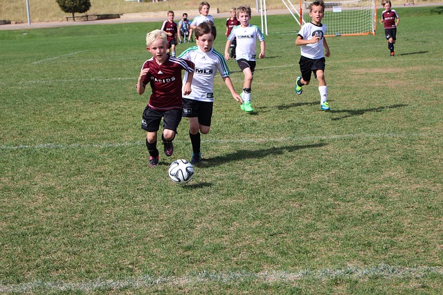 动也带来了 动也带来了