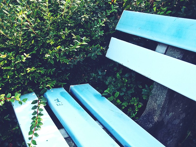 员在自己的 员在自己的